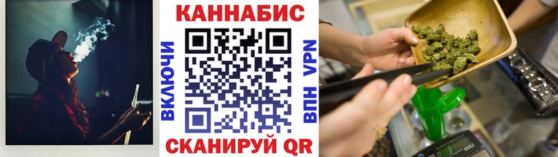 Канабис сатива  Куровское 